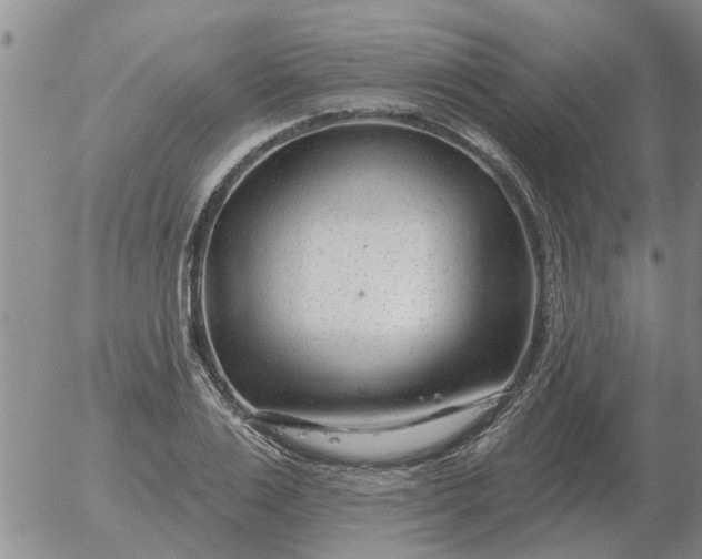 X0000055520983200509022119