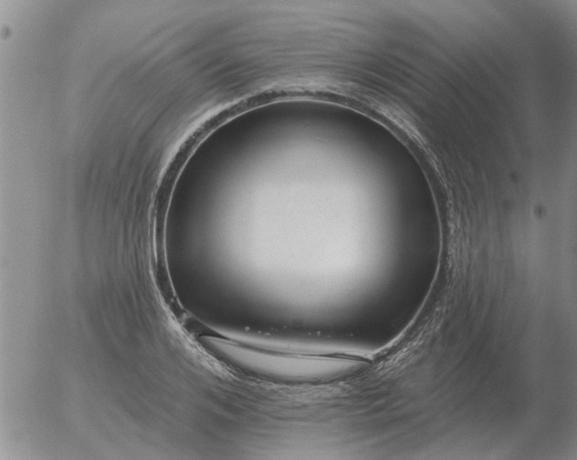 X0000055520984200509022119