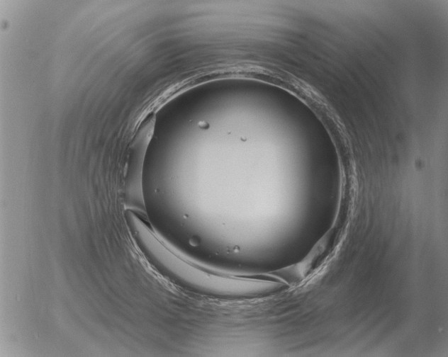 X0000055520985200509022119