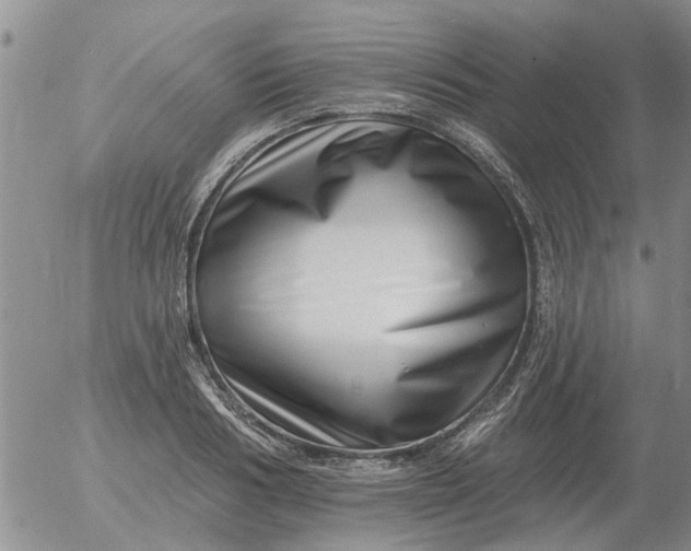 X0000055520986200509022119