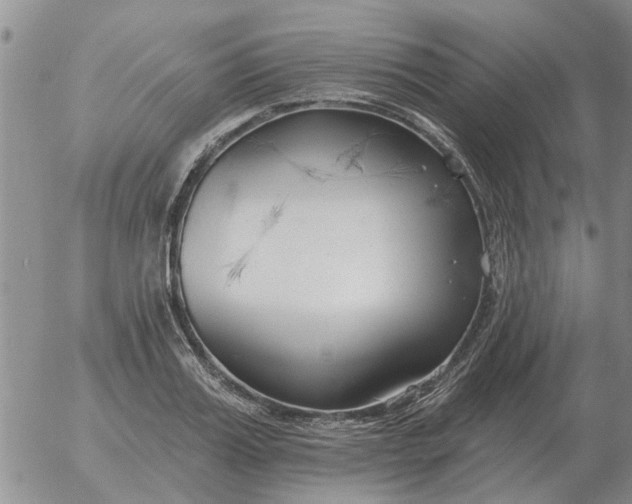 X0000055520987200509022119