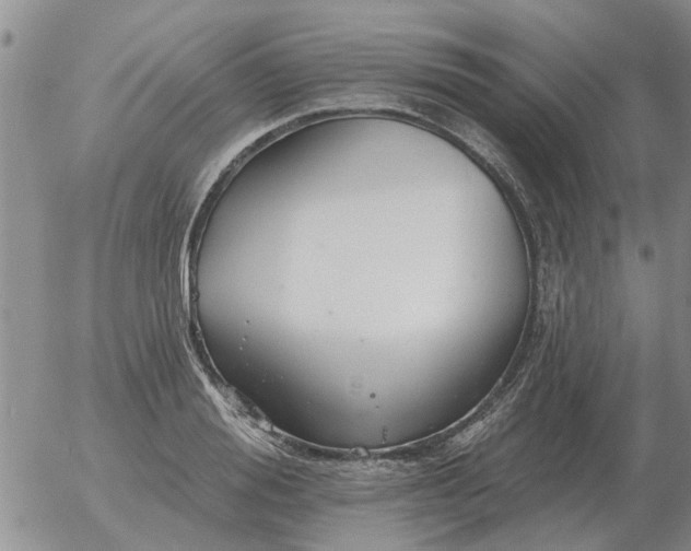 X0000055520988200509022119