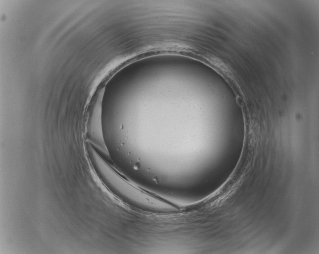 X0000055520989200509022119