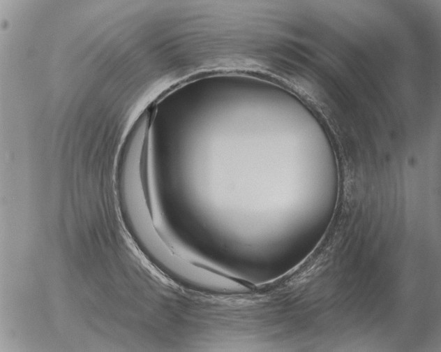 X0000055520990200509022119