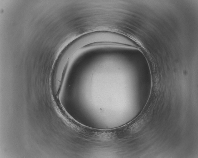 X0000055520991200509022119