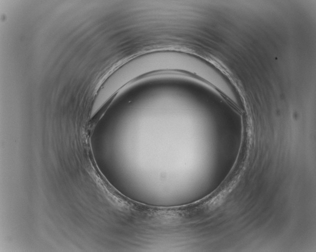 X0000055520993200509022119