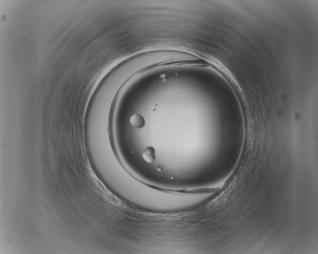 X0000055520996200509022119