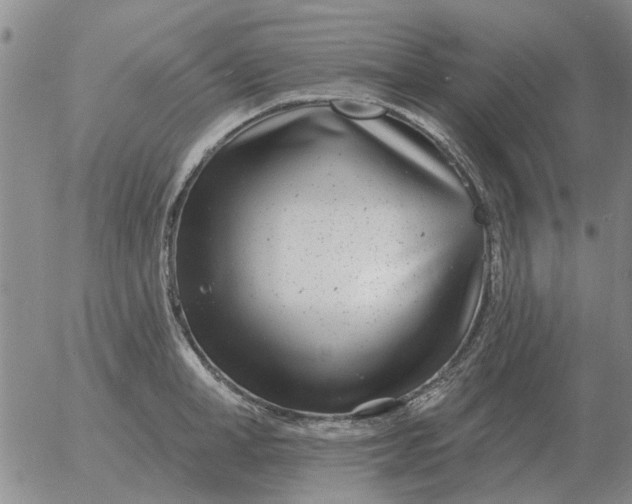 X0000055520998200509022119