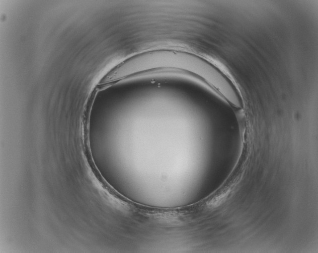 X0000055520999200509022119