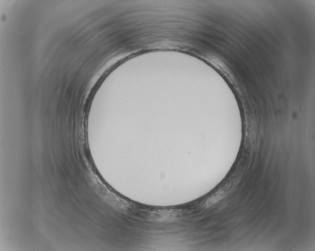 X0000055521000200509022119