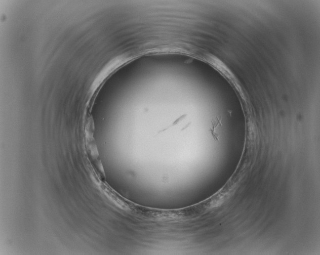 X0000055521002200509022119