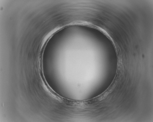 X0000055521003200509022119