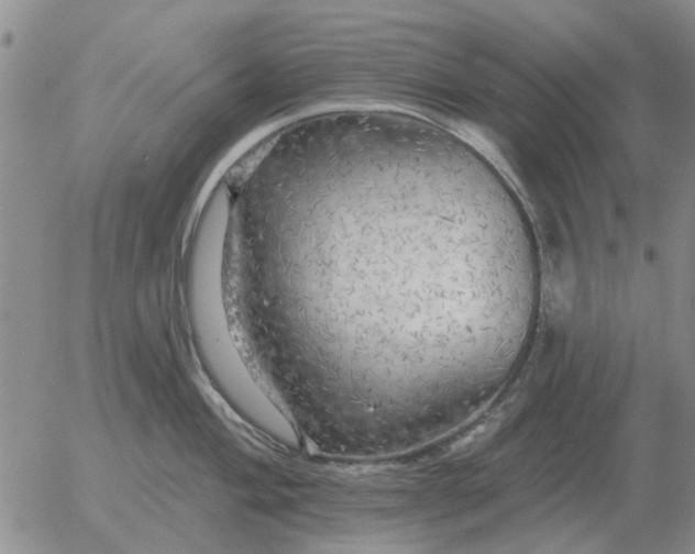 X0000055521004200509022119