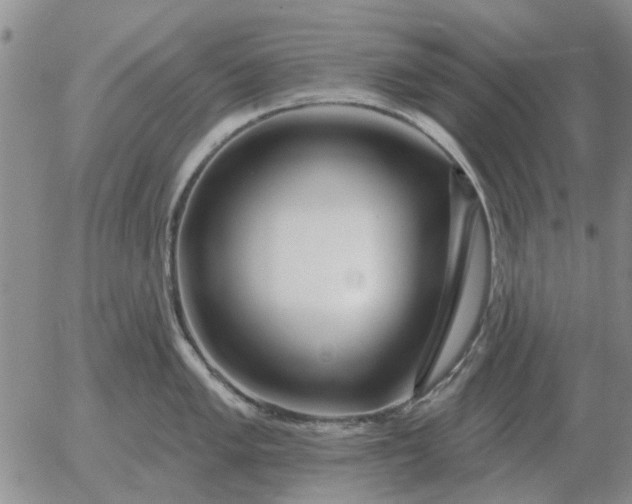 X0000055521005200509022119