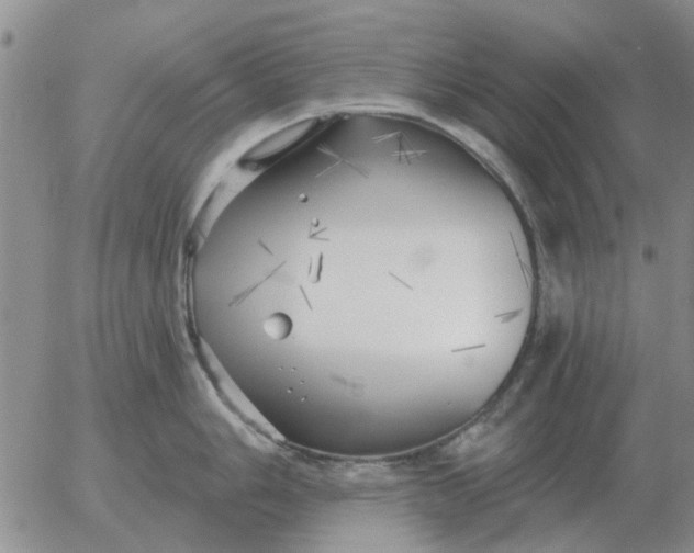 X0000055521006200509022119