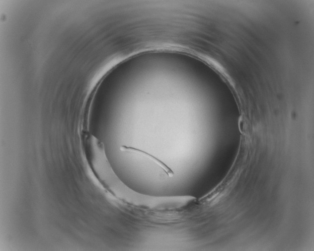 X0000055521007200509022119