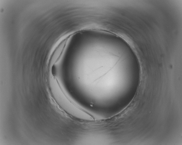 X0000055521008200509022119