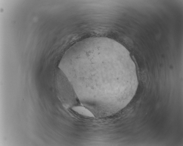 X0000055521009200509022118