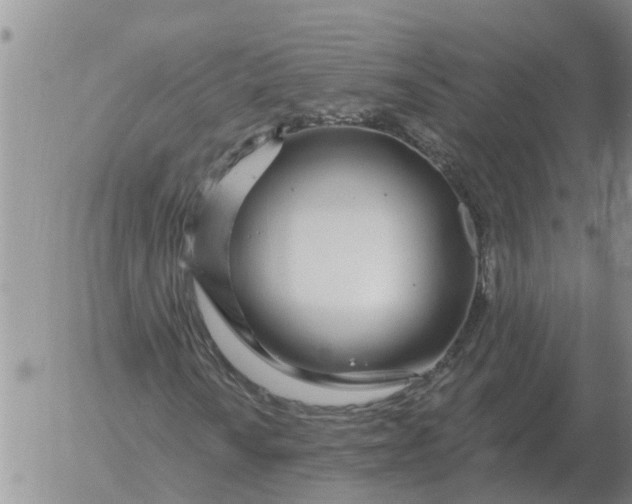 X0000055521010200509022118