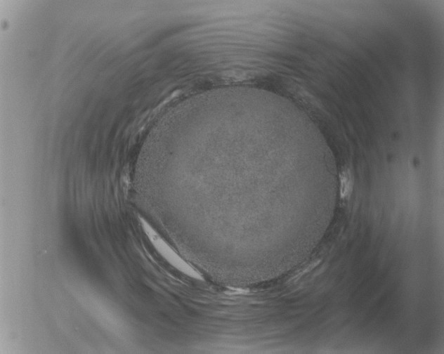 X0000055521011200509022118