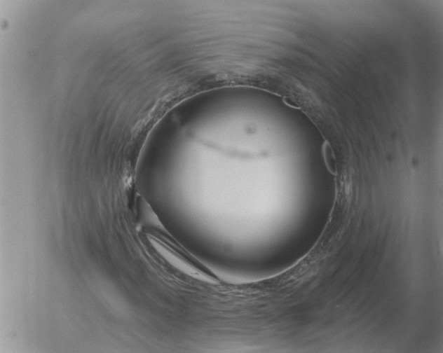 X0000055521012200509022118