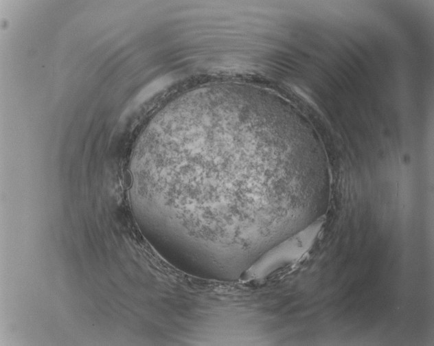 X0000055521015200509022118