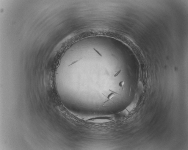 X0000055521016200509022118