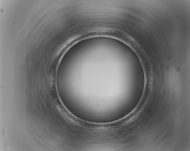 X0000055521017200509022118