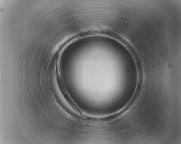 X0000055521018200509022118