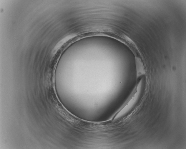 X0000055521019200509022118