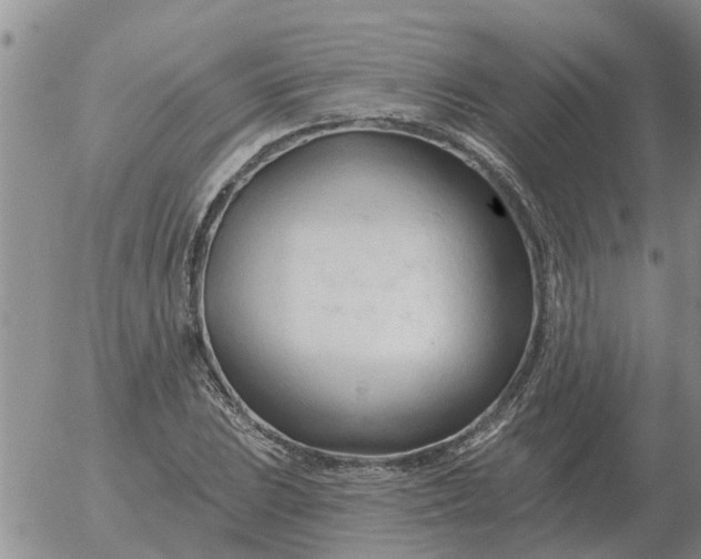 X0000055521023200509022118