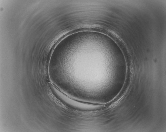 X0000055521025200509022118