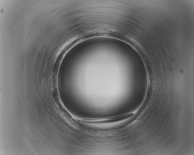 X0000055521026200509022118