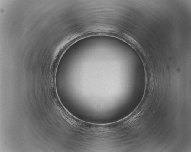 X0000055521027200509022118