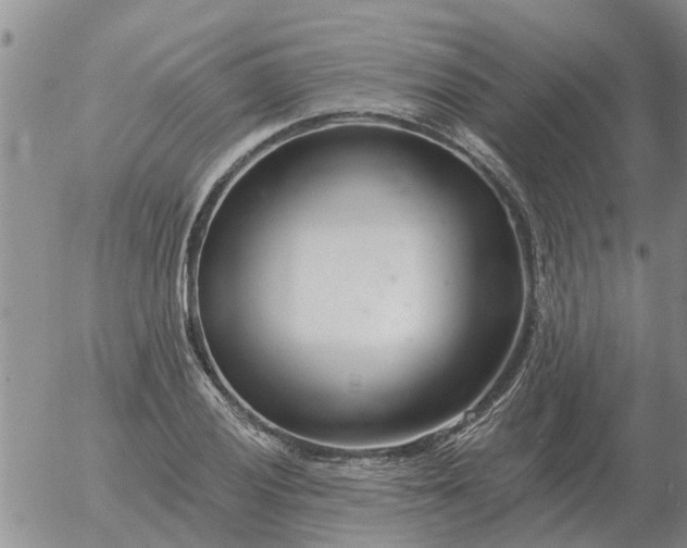 X0000055521028200509022118