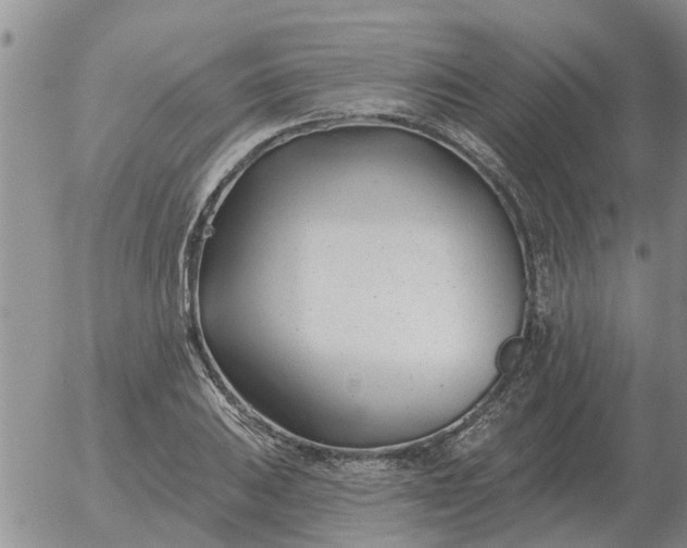 X0000055521031200509022118