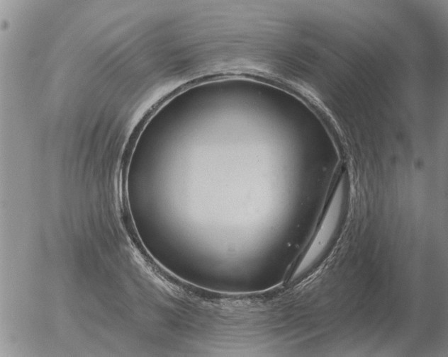 X0000055521032200509022118