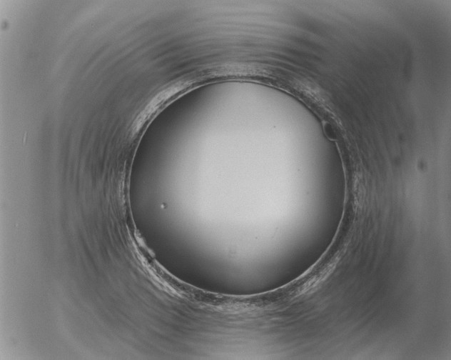 X0000055521033200509022118