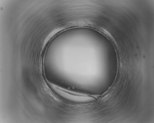 X0000055521035200509022118