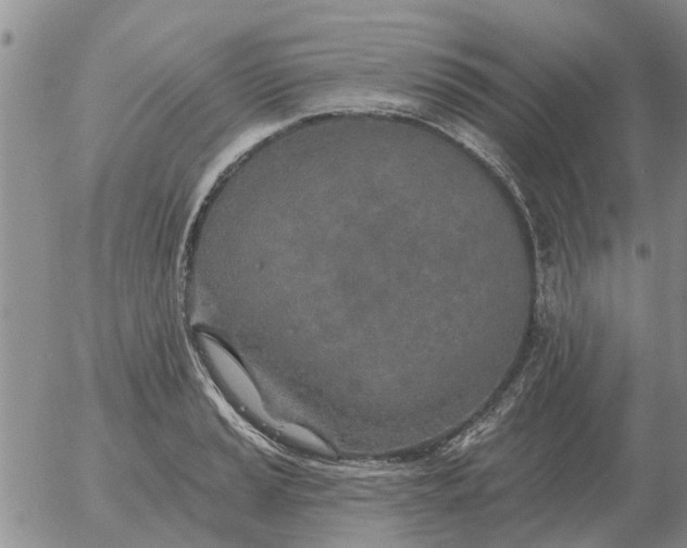 X0000055521037200509022118