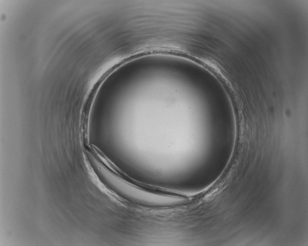 X0000055521038200509022118