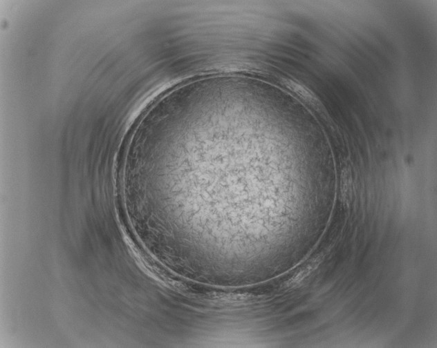 X0000055521039200509022118