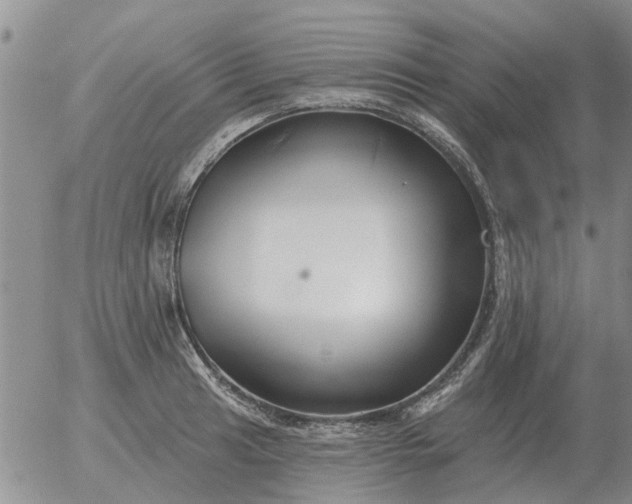 X0000055521041200509022118