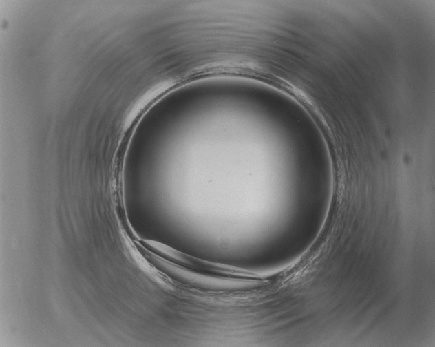 X0000055521042200509022118