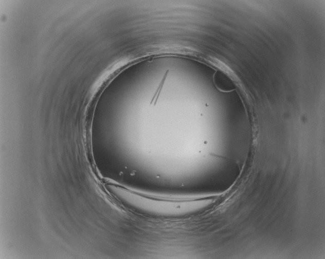 X0000055521043200509022118