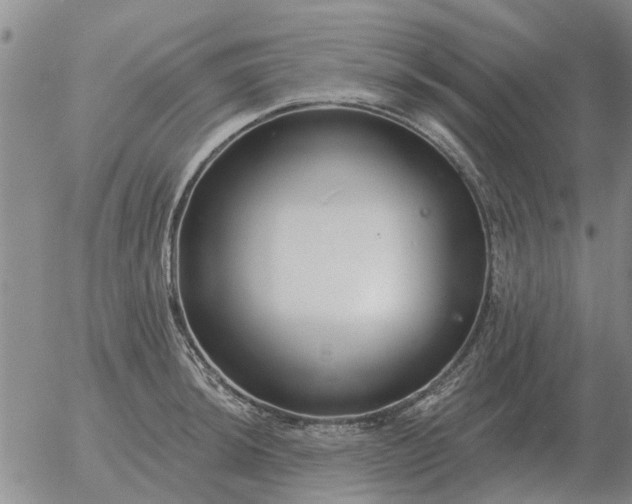 X0000055521044200509022118