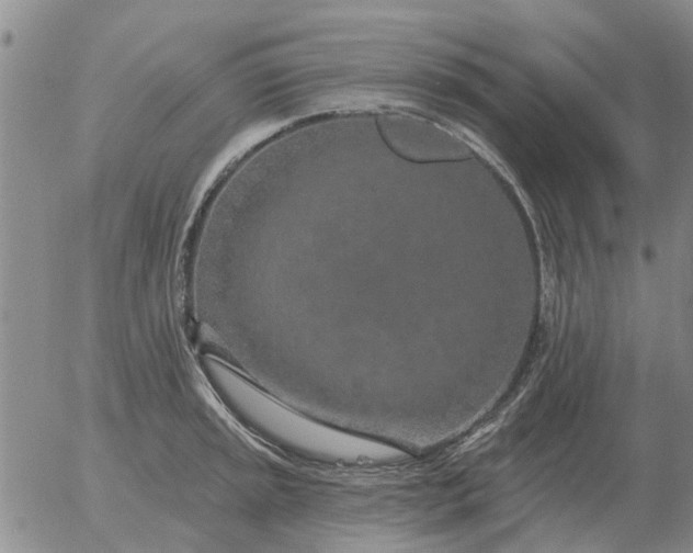 X0000055521045200509022118