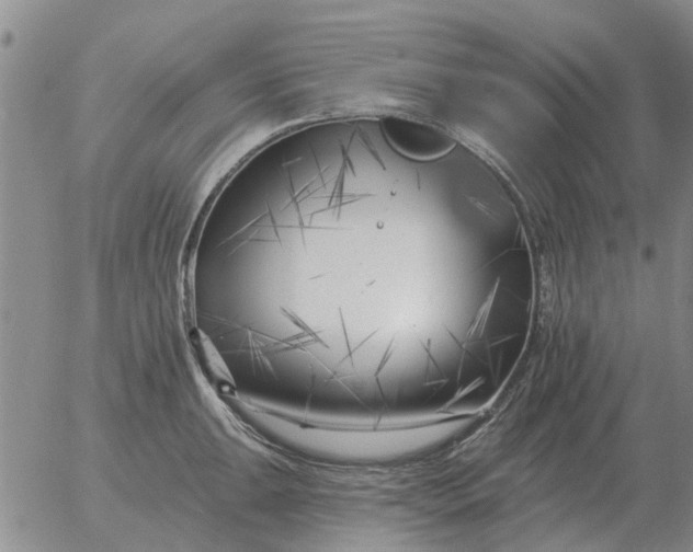 X0000055521047200509022119