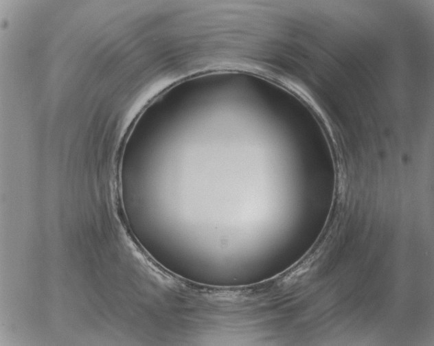 X0000055521048200509022119