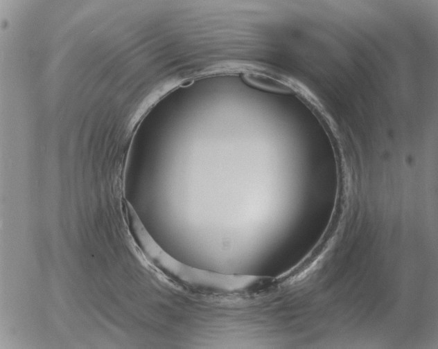 X0000055521049200509022119